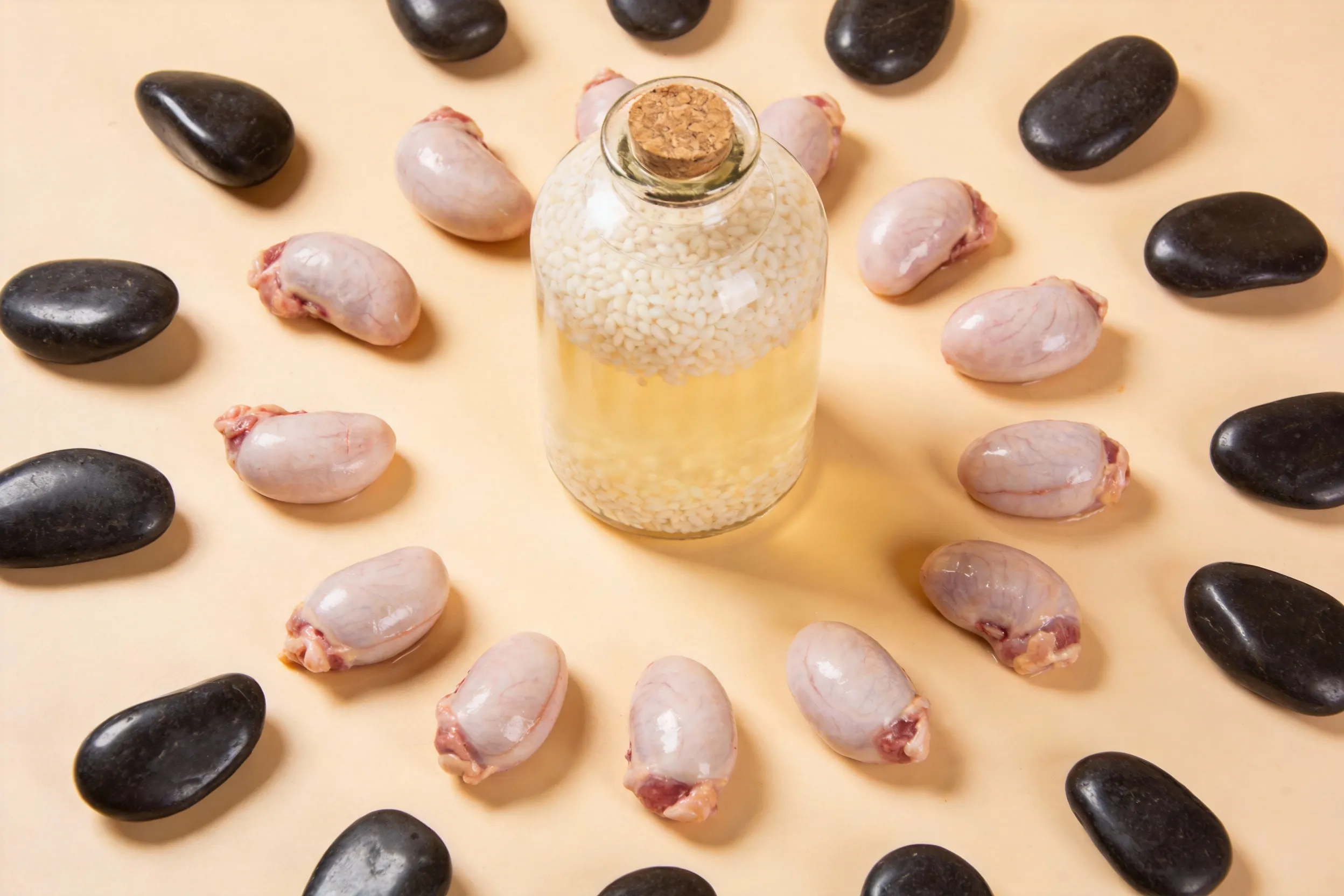 Folk Remedy for Erectile Dysfunction Using Rooster Testicles and Magnetic Stone