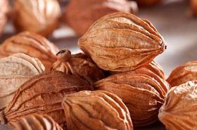 Sharen (Amomum Fruit)