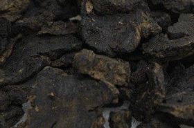 Rehmannia Root, Traditional Chinese Medicine Herb