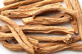 Yin Chai Hu - Traditional Chinese Medicine Herb for Deficiency Heat