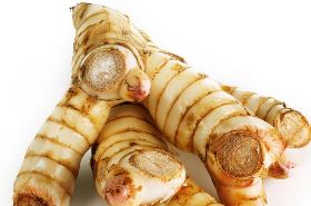 Greater Galangal dried rhizome for stomach warming benefits