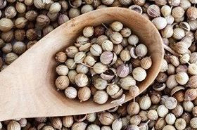 Coriander Seed