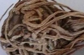 Mahonia Fruit TCM benefits and uses