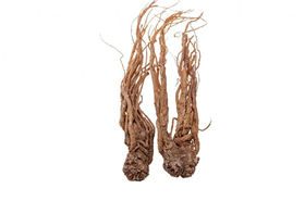 Golden Water Six Gentlemen Decoction