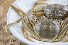 crab-shell-cooling-benefits