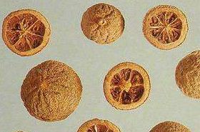 Citron (Fructus Citri)