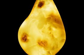Amber: Benefits, Uses, and Precautions