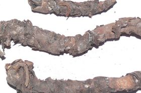 What is Panlongqi? Benefits, Uses, and Safety Tips