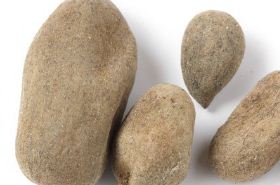 Wu Bei Zi: Uses, Benefits, and Safety Tips