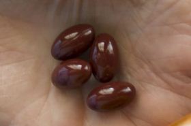 Zang Lian Pill - Uses and Health Benefits
