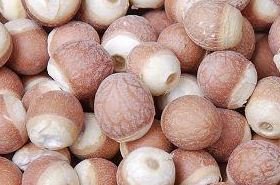 Water Lily Seeds Health Benefits