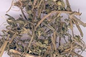 墨旱莲: Benefits, Uses, and Precautions