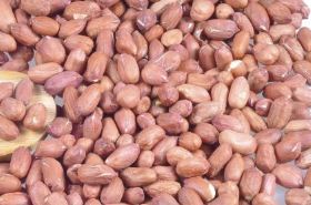 Peanut Skin Benefits and Uses