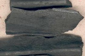 Palm Charcoal: A Traditional Remedy for Bleeding