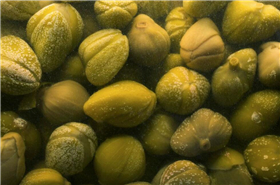 Fei Er Wan Digestive Aid