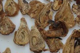 Peach Kernel Benefits and Uses