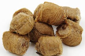 Sang Piao Xiao: Benefits, Uses & Precautions