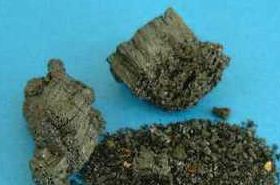 Blood Charcoal: Its Benefits and Uses in Health