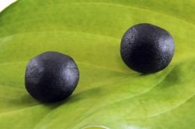 Savior Pill: Usage, Benefits & Women's Health