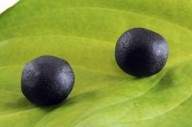 Bu Shen Gu Chong Wan Pills on a Leaf