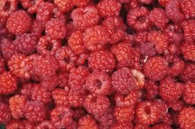 Raspberry (覆盆子): Health Benefits and Uses