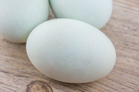 Duck Eggs: Benefits, Uses, and Precautions