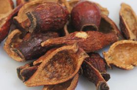 Jinyingzi: Benefits, Uses, and Safety