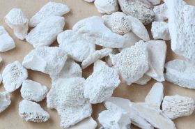 Dragon bone for calming and balance