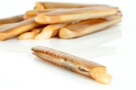 Clam meat benefits and uses