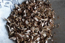 Calamus Root: Benefits and Uses