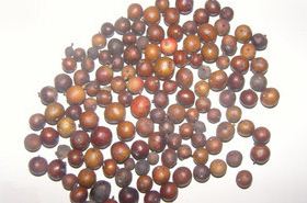 Nan Zhu Zi: Traditional Herb for Vital Energy