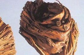 Lotus Peduncle: Discover Its Traditional Medicine Uses