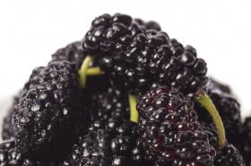Mulberries: Benefits and Uses