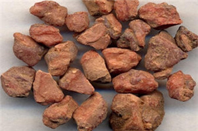 Benzoin: Benefits, Uses, and Safety Tips