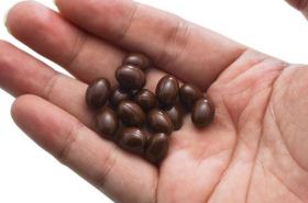 San Ceng Hui Xiang Wan: Benefits, Uses, and Safety