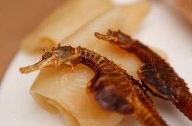 Seahorse benefits for health in Traditional Chinese Medicine