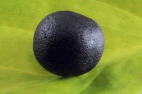 Dry Ginger Ginseng Pinellia Pill - Benefits and Usage