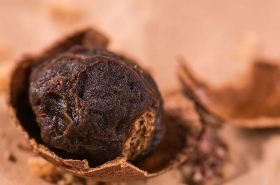 Longan Fruit: Benefits and Uses in Traditional Chinese Medicine