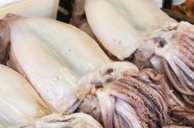 Squid meat benefits and uses