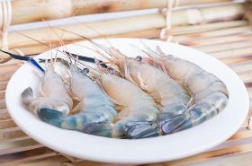 Penaeus Shrimp: Health Benefits and Uses