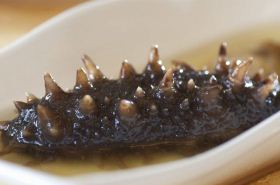 Sea Cucumber: Benefits and Uses