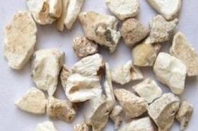 Dragon Teeth in TCM: Benefits and Uses