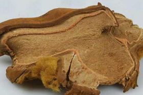 Gou Ji: Benefits and Uses in Traditional Medicine