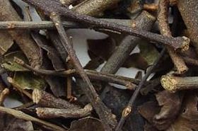 Sang Ji Sheng Herbal Benefits