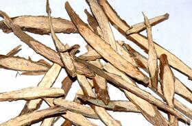 Ch&aacute;ngshān: Uncover Its Benefits and Medicinal Uses