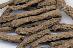 Thousand Years Health: Benefits and Uses