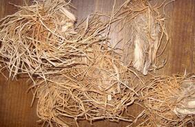 Glutinous Rice Root: Benefits and Uses