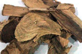 Mutong | Benefits and Uses of Akebia Stem