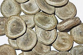 Nux Vomica Seed: Functions, Indications, and Dosage