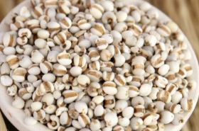 Job's Tears (Coix Seed) | Benefits, Uses & Traditional Chinese Medicine Perspectives